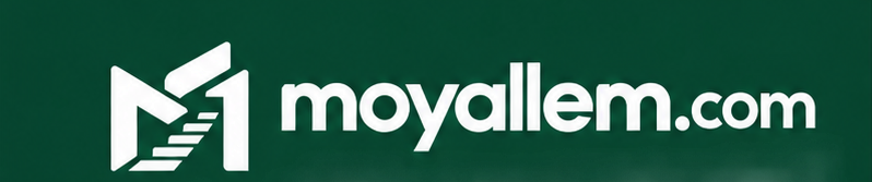 Moyallem.com Green Logo Concept Board